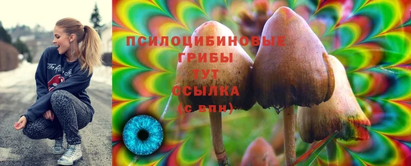 MDMA Богородск